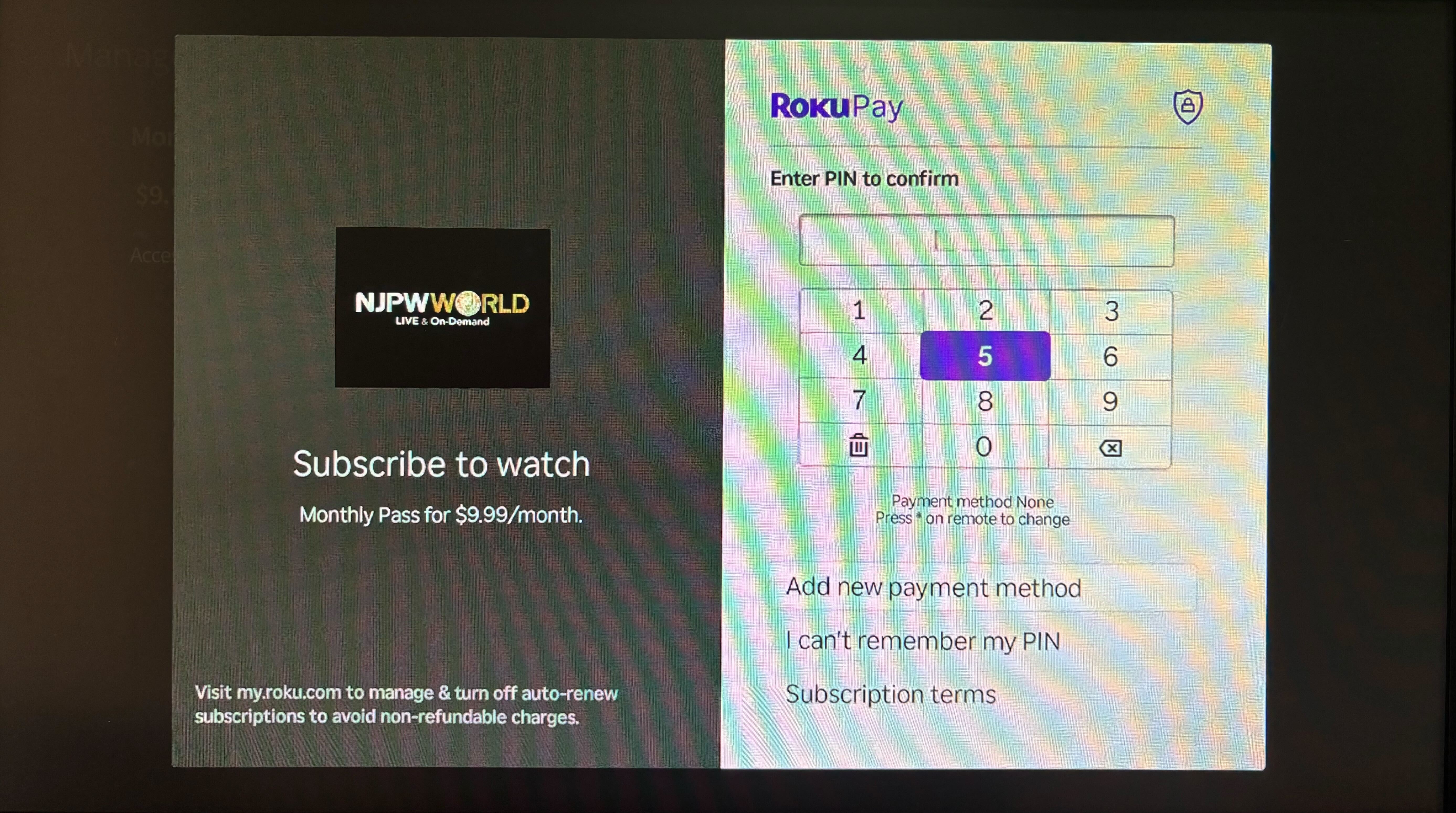 7. ROKU.jpg